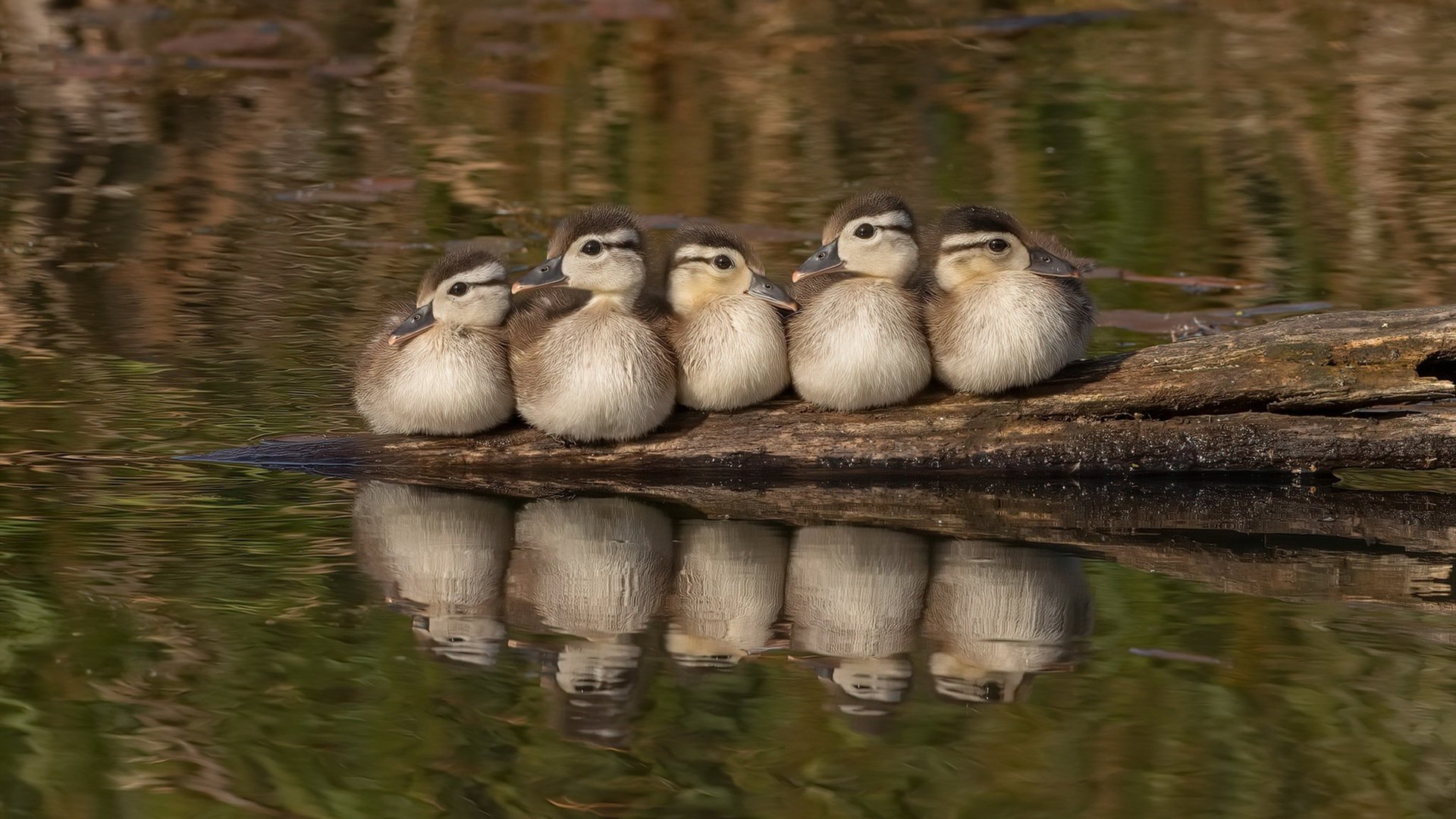 以“篮球+科技”为主题的创新赛事首次亮相上海，科技感篮球场