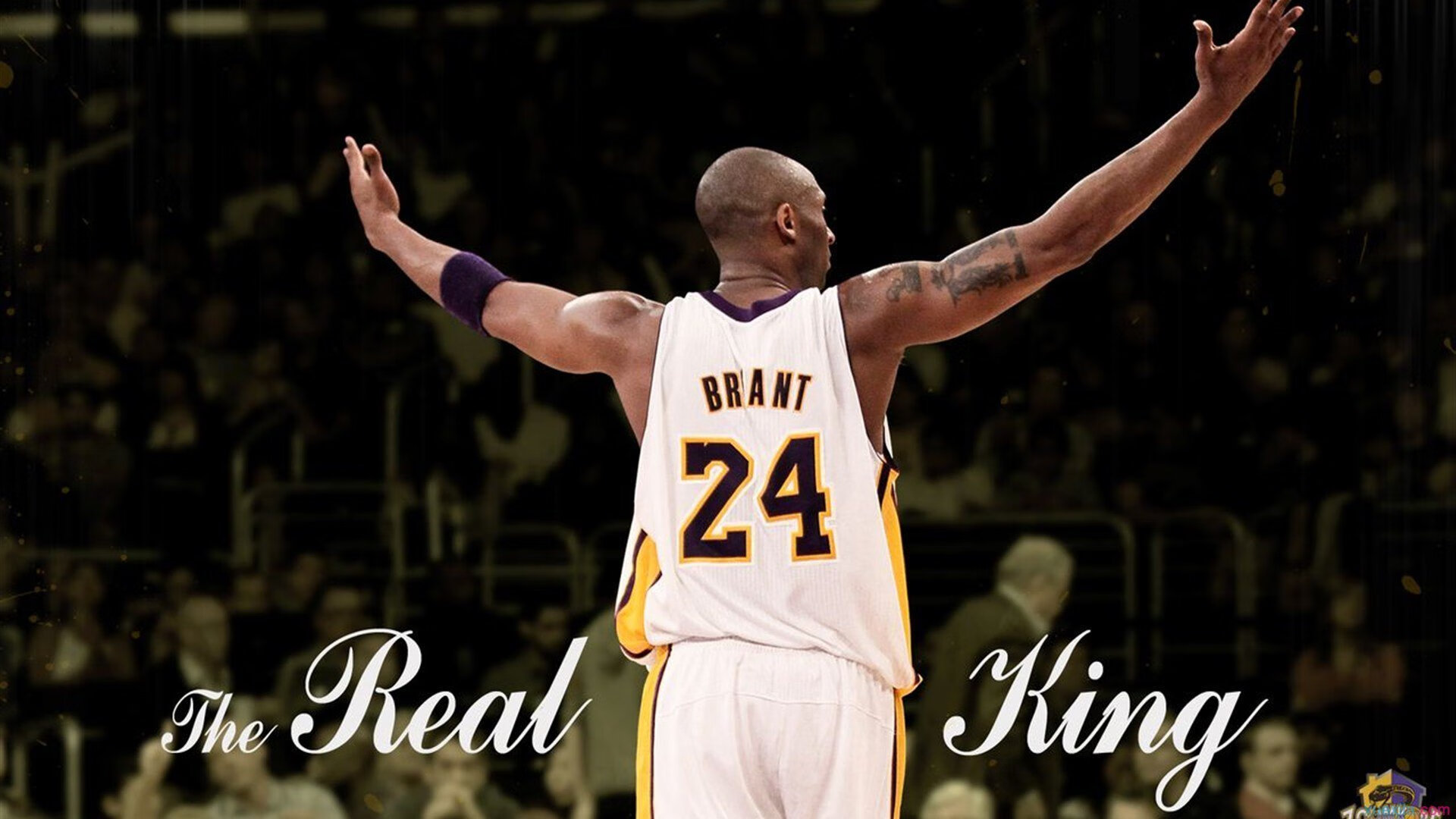 李娜回归表演赛状态依旧在线，李娜从回歌坛