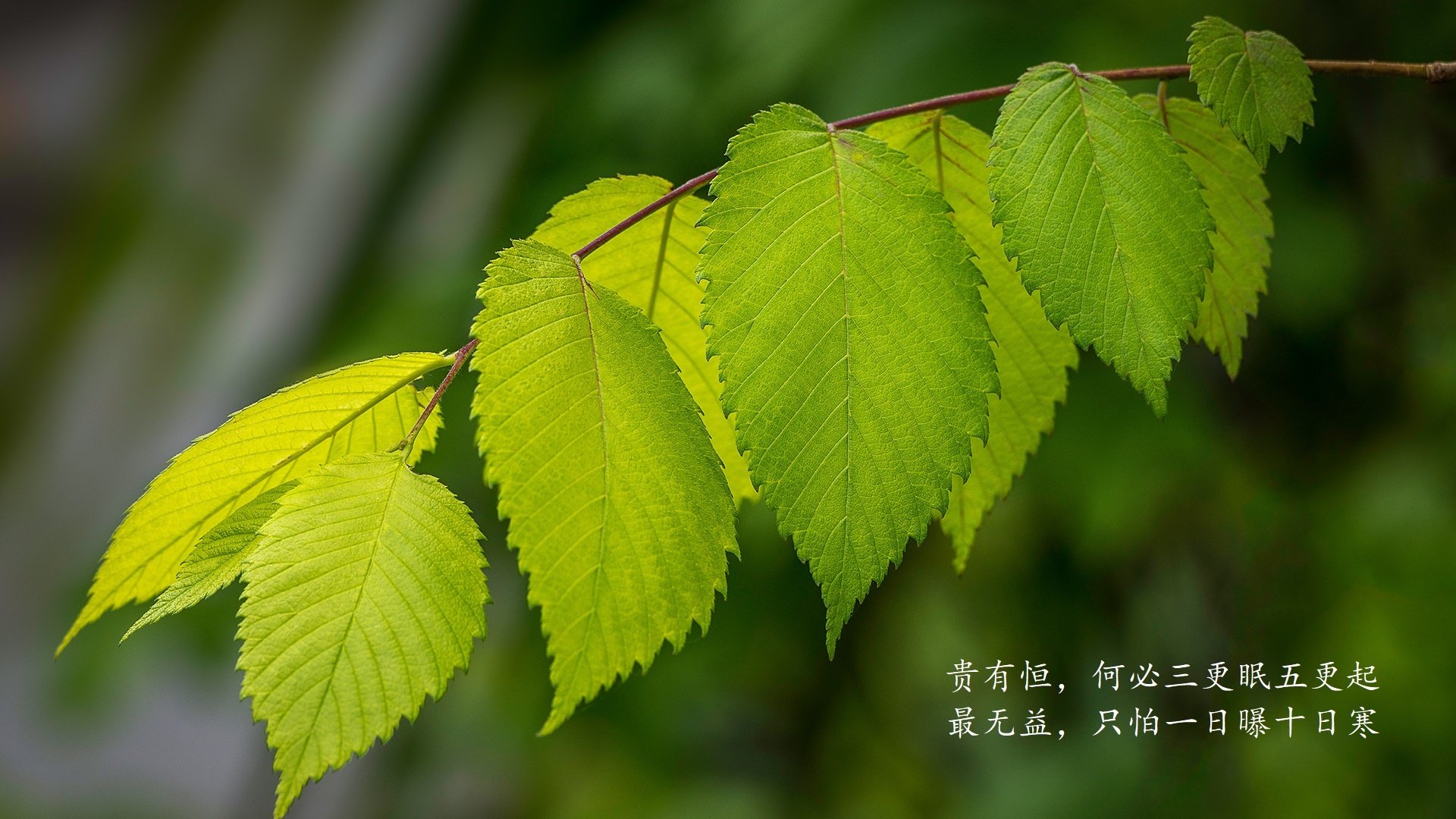 爱游戏 电竞-“法甲豪门奋战，冠军归属悬念未减”，法甲豪门有哪些球队